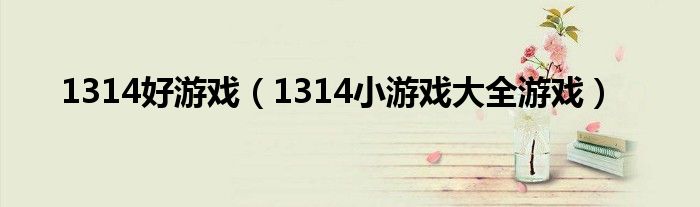 1314好游戏【1314小游戏大全游戏】