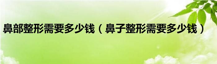 鼻部整形需要多少钱【鼻子整形需要多少钱】