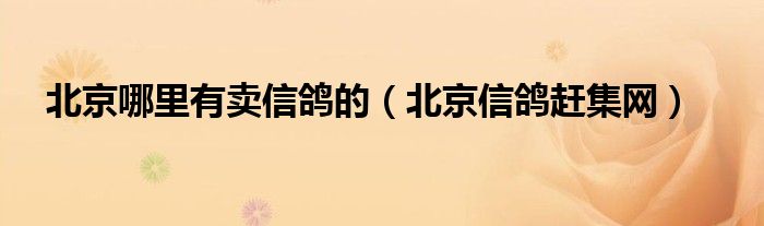 北京哪里有卖信鸽的【北京信鸽赶集网】