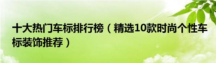 十大热门车标排行榜【精选10款时尚个性车标装饰推荐】