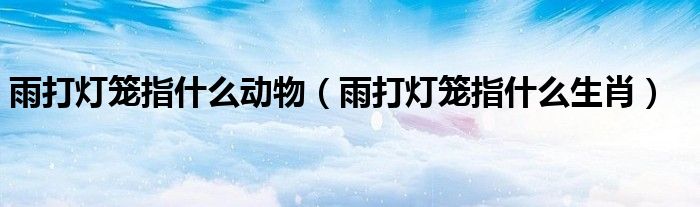 雨打灯笼指什么动物【雨打灯笼指什么生肖】