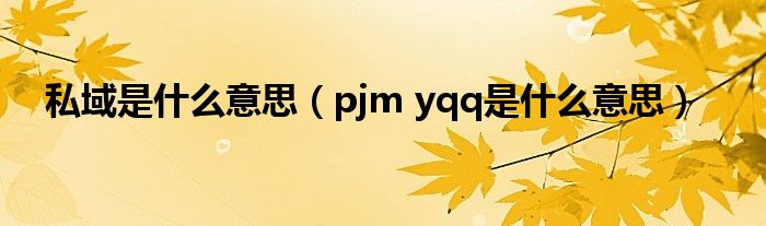 私域是什么意思【pjm yqq是什么意思】