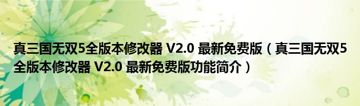 真三国无双5全版本修改器 V2.0 最新免费版【真三国无双5全版本修改器 V2.0 最新免费版功能简介】