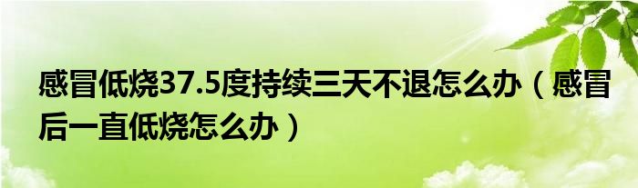 感冒低烧37.5度持续三天不退怎么办【感冒后一直低烧怎么办】