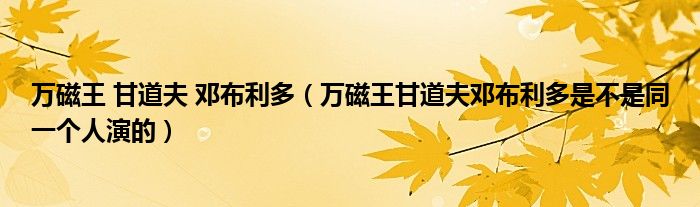 万磁王 甘道夫 邓布利多【万磁王甘道夫邓布利多是不是同一个人演的】