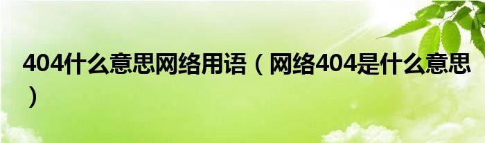 404什么意思网络用语【网络404是什么意思】