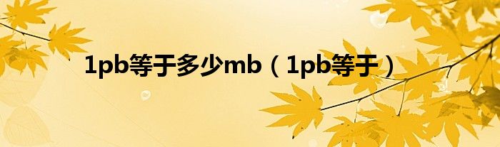 1pb等于多少mb【1pb等于】