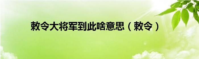 敕令大将军到此啥意思【敕令】