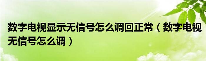 数字电视显示无信号怎么调回正常【数字电视无信号怎么调】