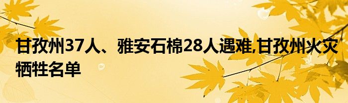 甘孜州37人、雅安石棉28人遇难,甘孜州火灾牺牲名单