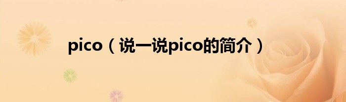 pico【说一说pico的简介】