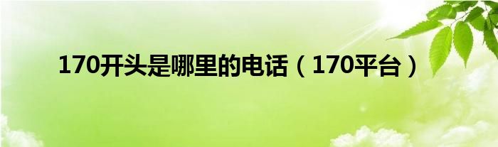 170开头是哪里的电话【170平台】