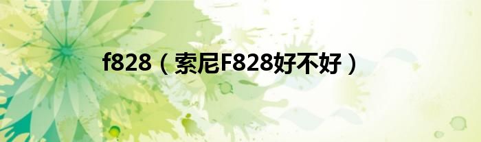 f828【索尼F828好不好】