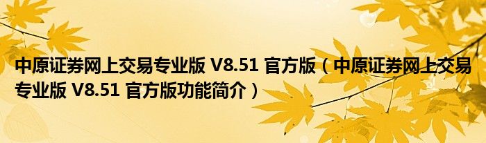 中原证券网上交易专业版 V8.51 官方版【中原证券网上交易专业版 V8.51 官方版功能简介】