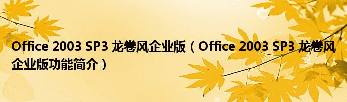 Office 2003 SP3 龙卷风企业版【Office 2003 SP3 龙卷风企业版功能简介】