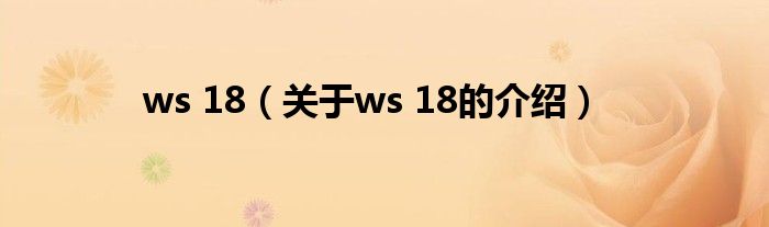 ws 18【关于ws 18的介绍】