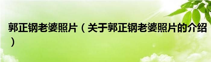 郭正钢老婆照片【关于郭正钢老婆照片的介绍】