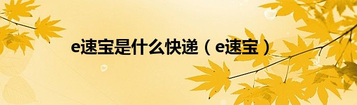 e速宝是什么快递【e速宝】