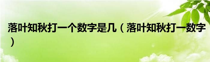 落叶知秋打一个数字是几【落叶知秋打一数字】