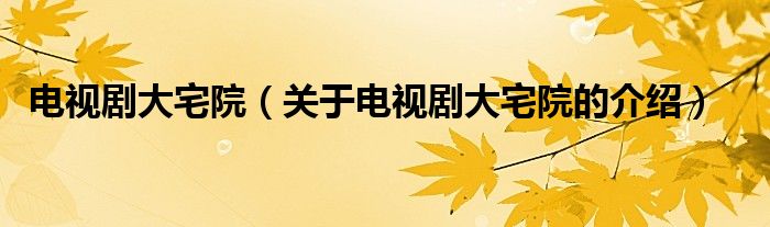 电视剧大宅院【关于电视剧大宅院的介绍】