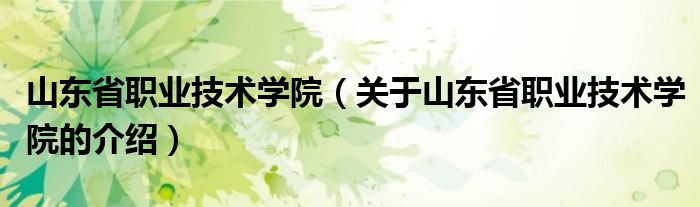 山东省职业技术学院【关于山东省职业技术学院的介绍】