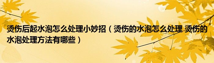 烫伤后起水泡怎么处理小妙招【烫伤的水泡怎么处理 烫伤的水泡处理方法有哪些】