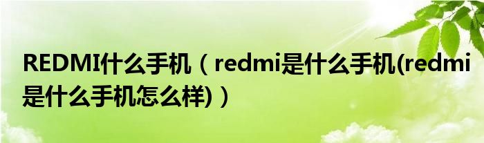 REDMI什么手机【redmi是什么手机(redmi是什么手机怎么样)】