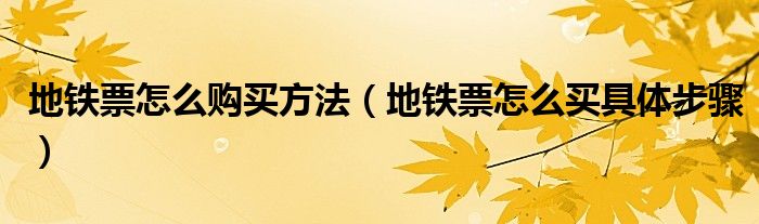 地铁票怎么购买方法【地铁票怎么买具体步骤】