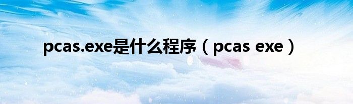 pcas.exe是什么程序【pcas exe】