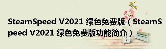 SteamSpeed V2021 绿色免费版【SteamSpeed V2021 绿色免费版功能简介】