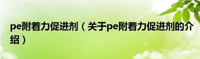 pe附着力促进剂【关于pe附着力促进剂的介绍】