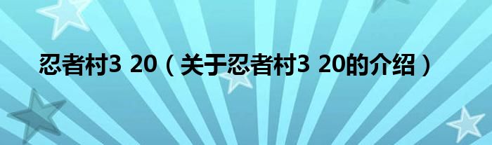 忍者村3 20【关于忍者村3 20的介绍】