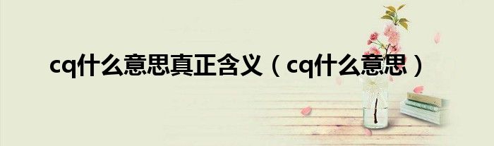 cq什么意思真正含义【cq什么意思】