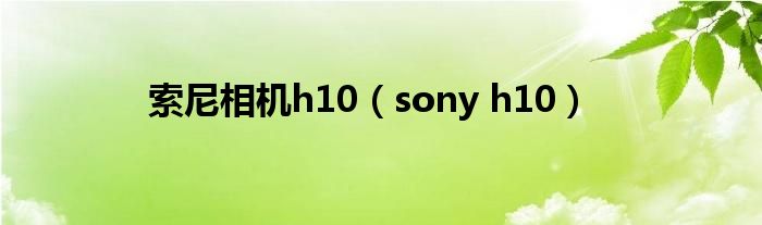 索尼相机h10【sony h10】