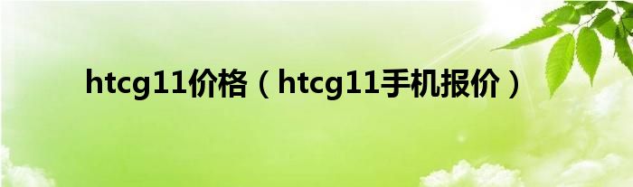 htcg11价格【htcg11手机报价】