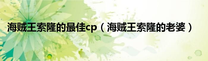 海贼王索隆的最佳cp【海贼王索隆的老婆】