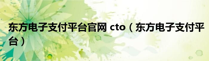 东方电子支付平台官网 cto【东方电子支付平台】