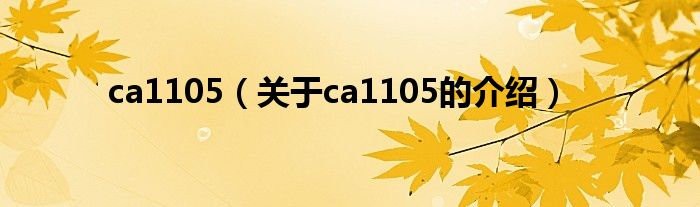 ca1105【关于ca1105的介绍】