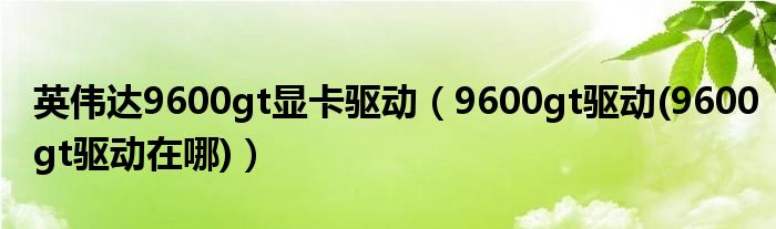 英伟达9600gt显卡驱动【9600gt驱动(9600gt驱动在哪)】