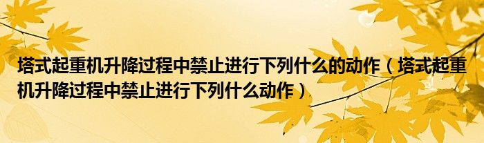 塔式起重机升降过程中禁止进行下列什么的动作【塔式起重机升降过程中禁止进行下列什么动作】