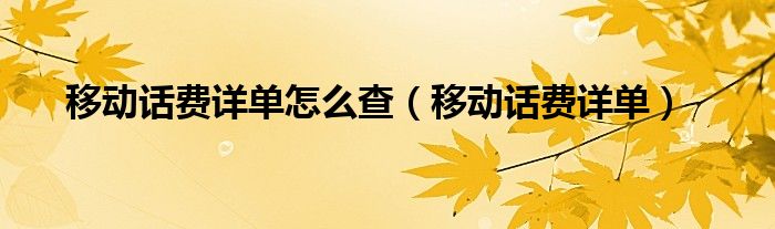 移动话费详单怎么查【移动话费详单】