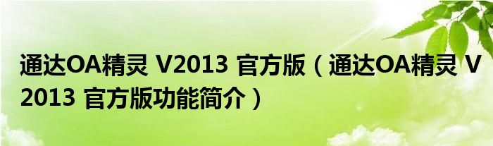 通达OA精灵 V2013 官方版【通达OA精灵 V2013 官方版功能简介】