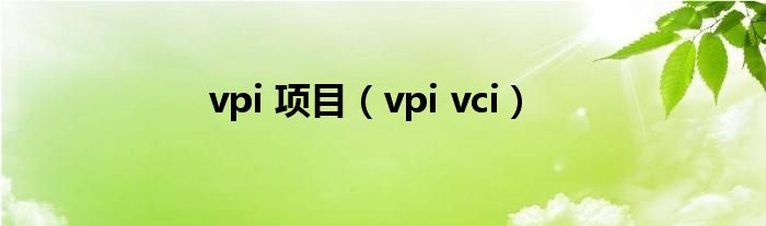 vpi 项目【vpi vci】