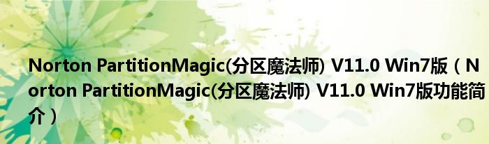 Norton PartitionMagic(分区魔法师) V11.0 Win7版【Norton PartitionMagic(分区魔法师) V11.0 Win7版功能简介】