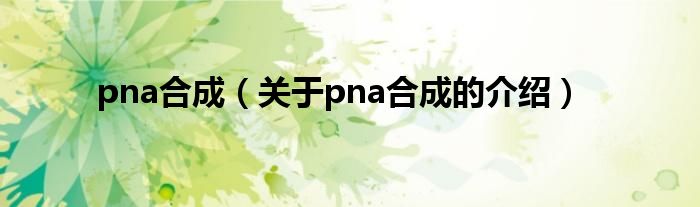 pna合成【关于pna合成的介绍】