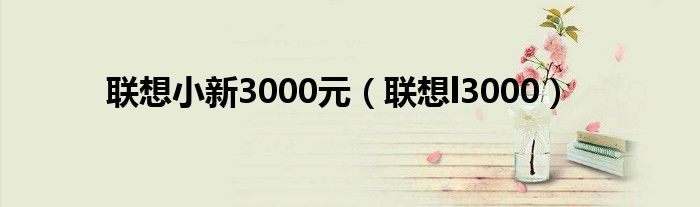 联想小新3000元【联想l3000】