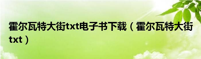 霍尔瓦特大街txt电子书下载【霍尔瓦特大街 txt】