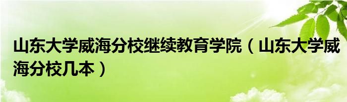 山东大学威海分校继续教育学院【山东大学威海分校几本】