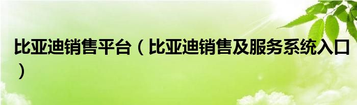 比亚迪销售平台【比亚迪销售及服务系统入口】