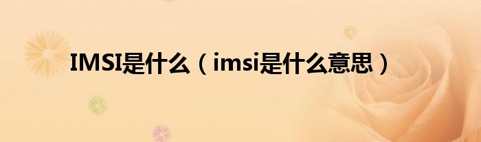 IMSI是什么【imsi是什么意思】